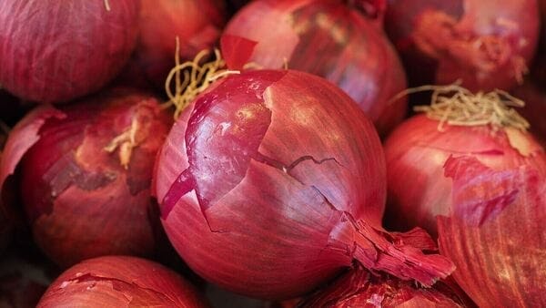 Delhi man’s request for extra onions prompts flash sale on Swiggy Instamart: ‘We feel your pain’