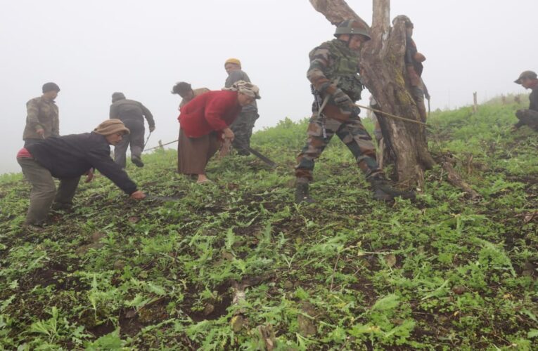 Assam Rifles and Villagers Join Forces to Eradicate Poppy Cultivation in Chandel District