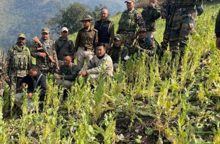 Security Forces Destroy Six Acres of Illicit Poppy Cultivation in Kangpokpi