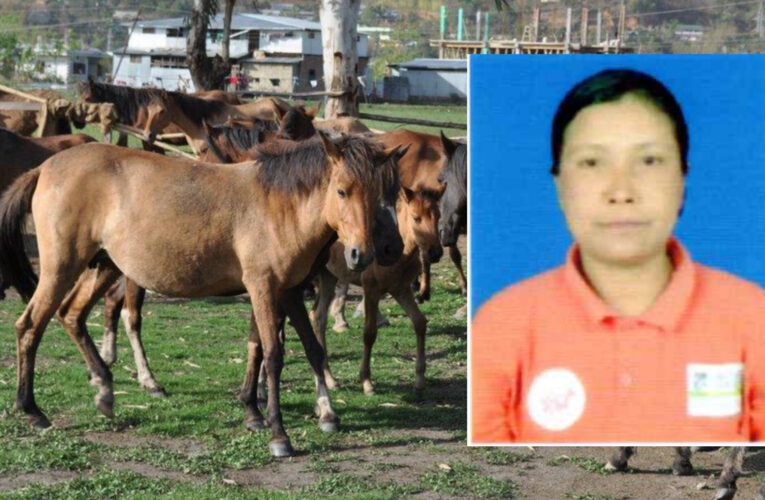 Deventy Khundongbam Devi to Receive Best Manipuri Pony Farmers Award 2025